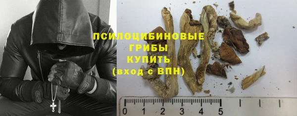 дмт Алзамай