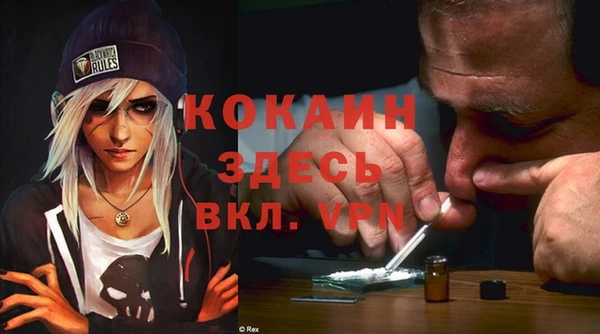 не бодяженный Алексин