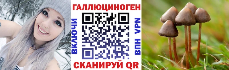 omg как зайти  Рубцовск  Галлюциногенные грибы MAGIC MUSHROOMS 